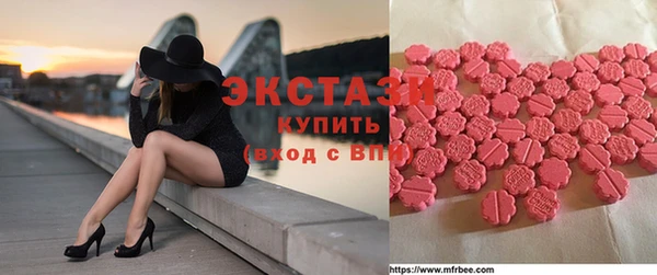 крисы Корсаков