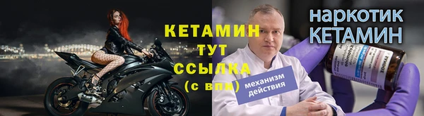 твердый Коряжма