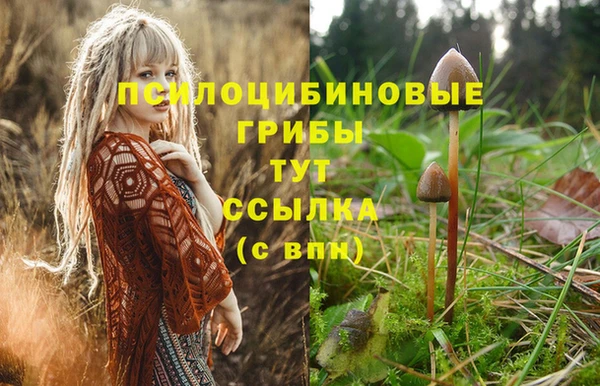 Альфа ПВП Киреевск