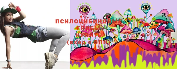 крисы Корсаков