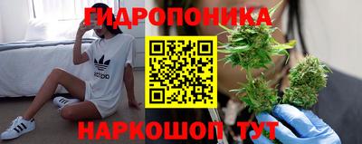 индика Кунгур