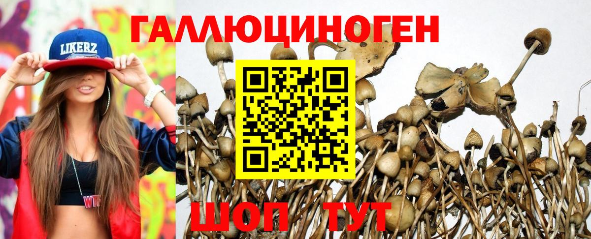 Галлюциногенные грибы GOLDEN TEACHER  Вход с VPN  Кинешма 