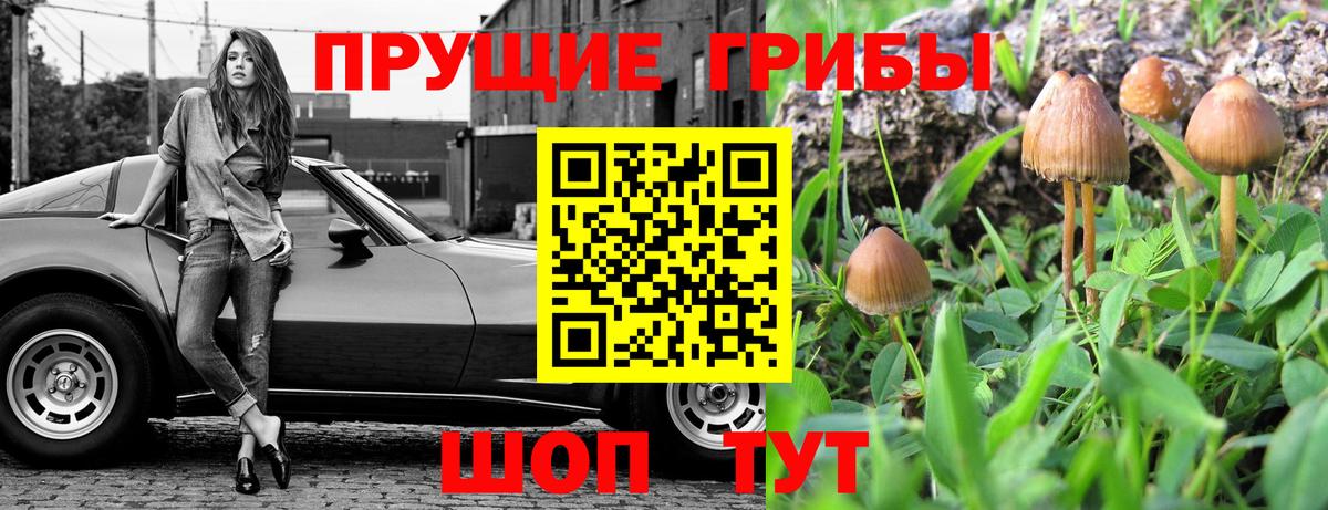 Псилоцибиновые грибы Magic Shrooms Кинешма